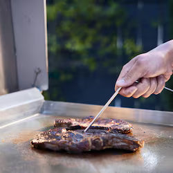 Blaze LTE+ 30-Inch Propane Griddle with Lift-Assist Hood