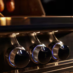 Blaze LTE PRO 32-Inch 4-Burner Built-In Natural Gas Grill with Digital Temperature Screen & Rotisserie – BLZ-4LTEPRO-NG