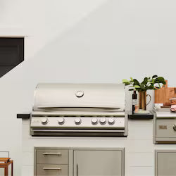 Blaze LTE+ 40-Inch 5-Burner Built-In Propane Gas Grill – Premium Stainless Steel Outdoor BBQ
