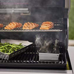 Weber Summit Smart FS38X S Propane Grill – Stainless Steel – 1500052