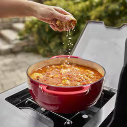 Weber Summit Smart FS38X S Propane Grill – Stainless Steel – 1500052